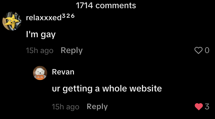 Comment Section Screenshot